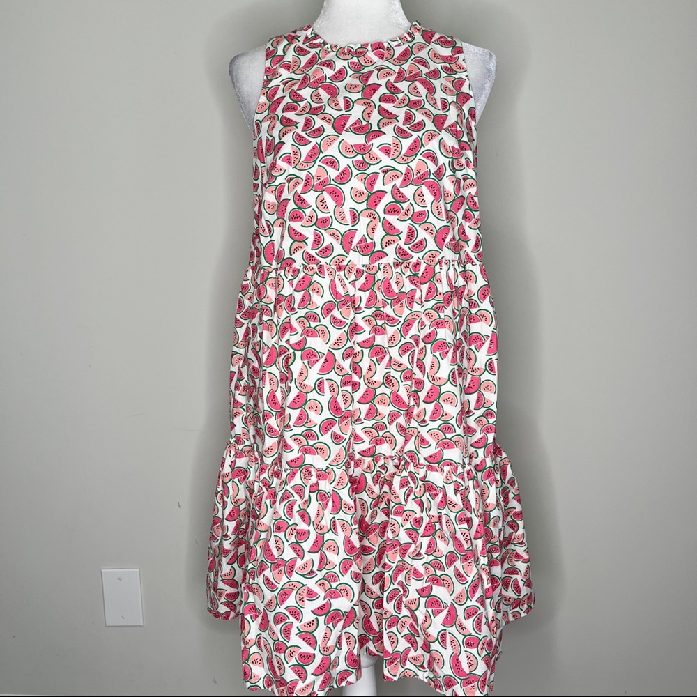 J. Crew Watermelon Print Tiered Sleeveless Dress in Size 4
